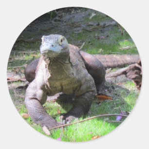 Komodo Dragon (0606) Stickers
