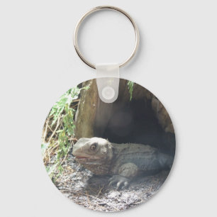 Komodo Dragon Coming Out Of His Home Under Tree Key Ring