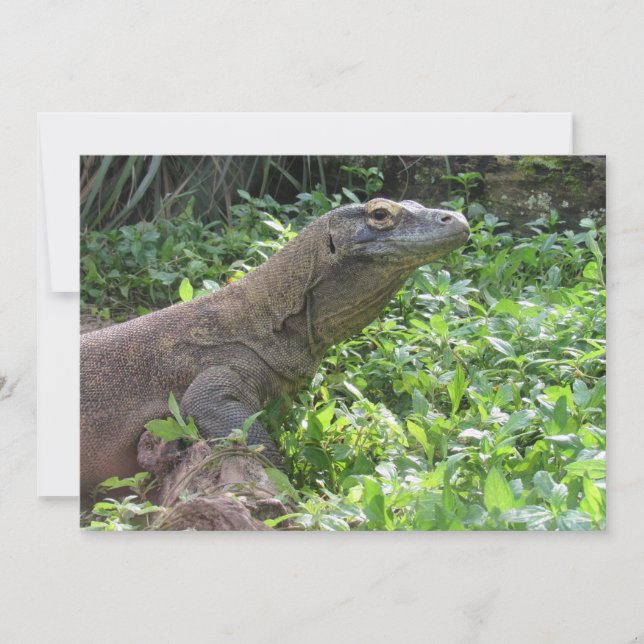 Komodo Dragon Flat Greeting Card (Front)