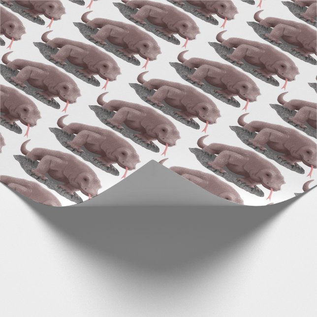 Komodo dragon illustration wrapping paper (Corner)