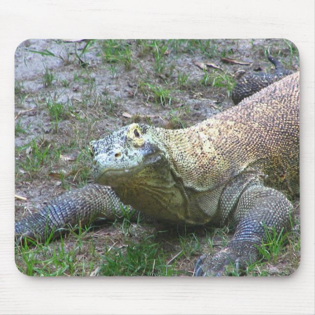 Komodo Dragon Mouse Pad (Front)