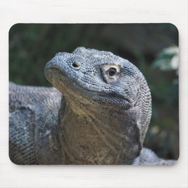Komodo Dragon Mouse Pad (Front)
