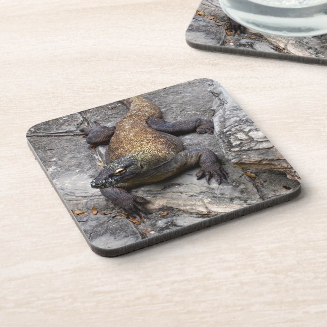 Komodo Dragon on Rugged Stones Coaster (Left Side)