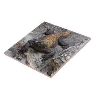 Komodo Dragon on Warm Rocks Ceramic Tile