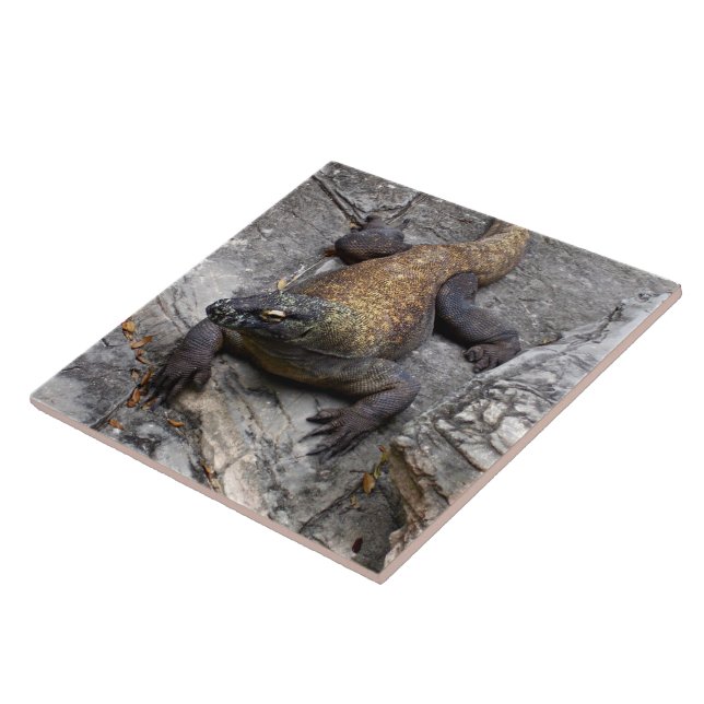Komodo Dragon on Warm Rocks Ceramic Tile (Side)