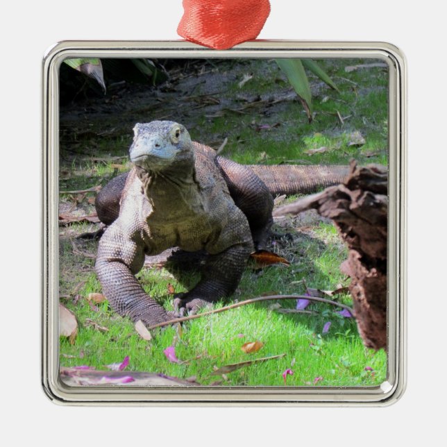 Komodo Dragon Ornament (Front)