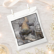 Komodo Dragon Rocky Scene Bag