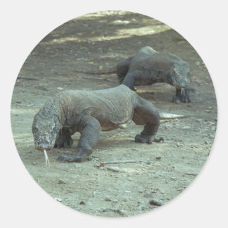 Komodo Dragon Sticker