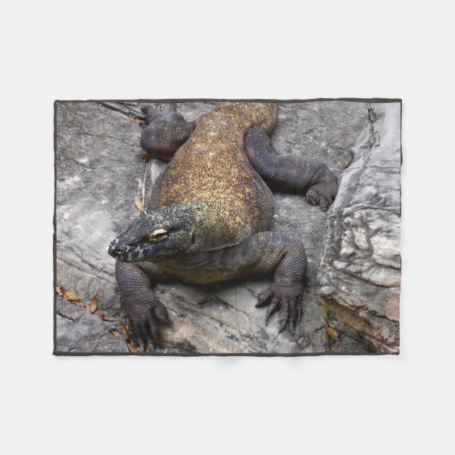 Komodo Dragon Warm Rock Scene Fleece Blanket (Front (Horizontal))