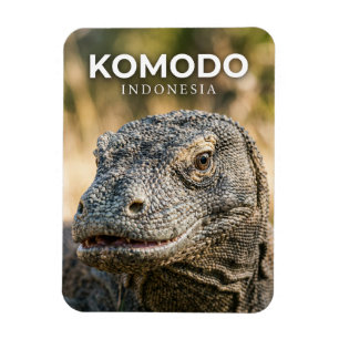 Komodo National Park Indonesia Magnet