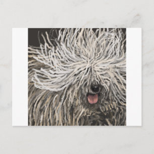 Komondor called Marley Postcard