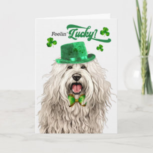 Komondor Dog Feelin' Lucky St Patrick's Day Holiday Card