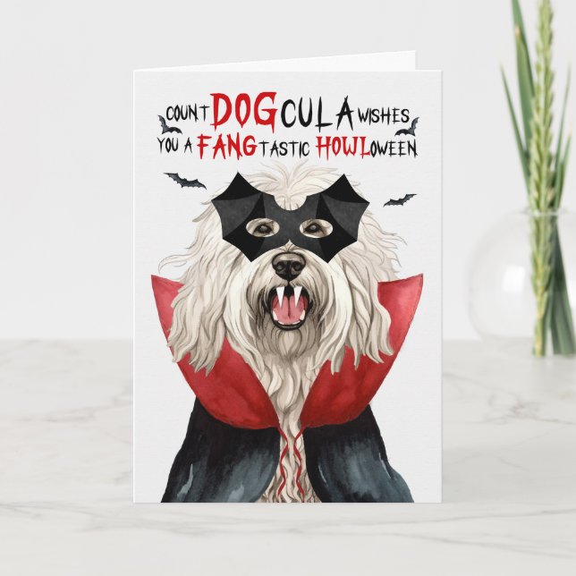 Komondor Dog Funny Count DOGcula Halloween Holiday Card (Front)