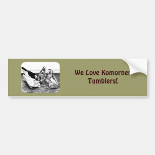 Komorner Tumbler Pigeon Quartet Bumper Sticker