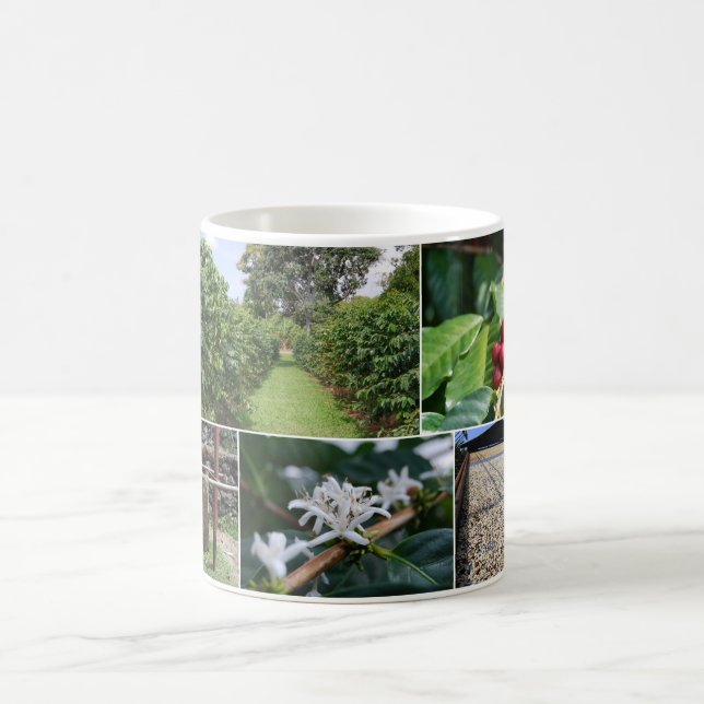 Kona Coffee Plantation Hawaii Collage Mug (Center)