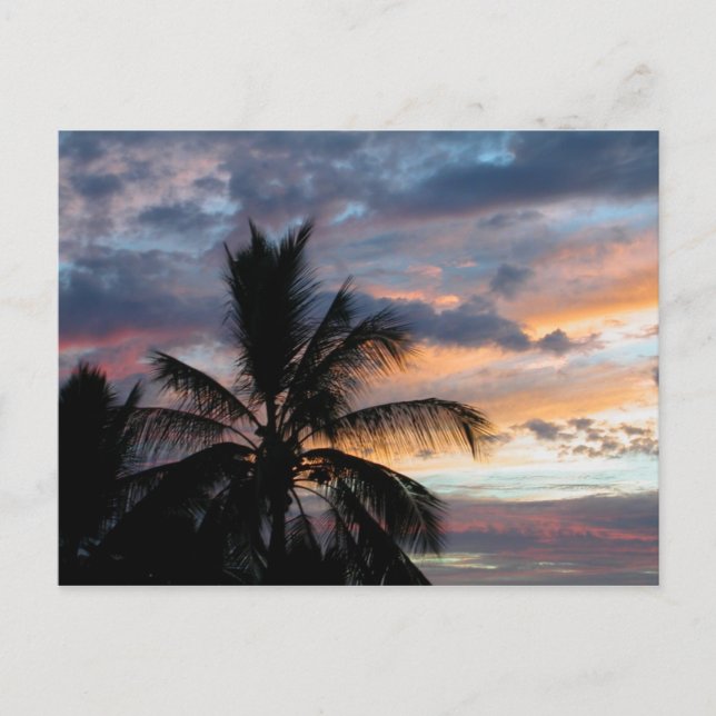 Kona Sunset Postcard (Front)