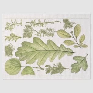 Konversations leaves (1894)  Ephemera Decoupage Tissue Paper