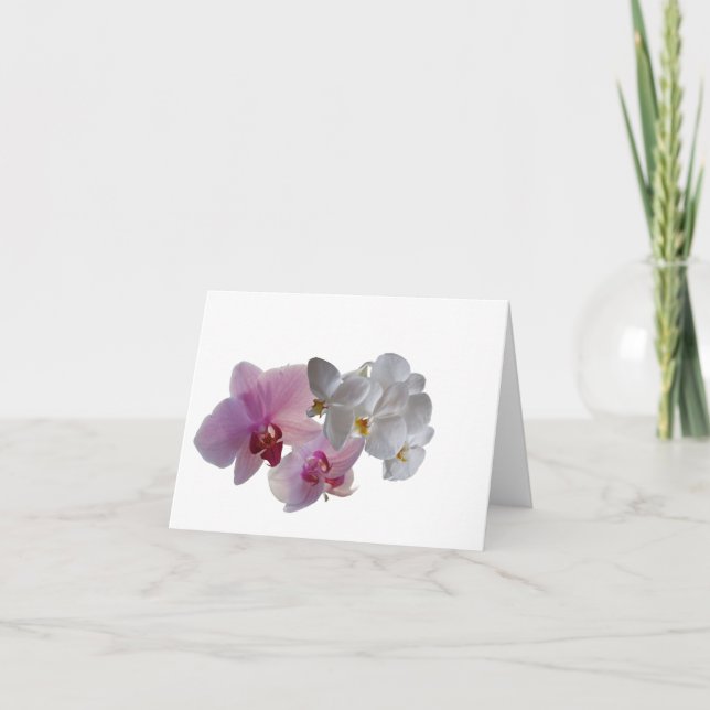 Konymoi "Orchid Bloom" blank Folded Greeting Card (Front)
