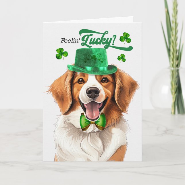 Kooikerhondje Dog Feelin' Lucky St Patrick's Day Holiday Card (Front)