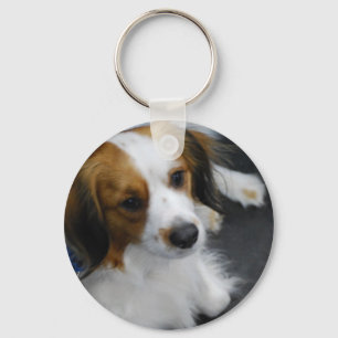 Kooikerhondje Dog Keychain