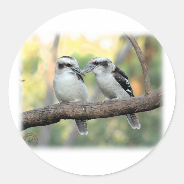 Kookaburra 9Y179D-037 Classic Round Sticker (Front)