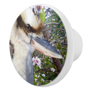 Kookaburra Beside A Blossom Tree, Ceramic Knob