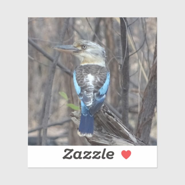 Kookaburra Bird (Sheet)