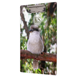 Kookaburra Bird Australia Photography Clipboard