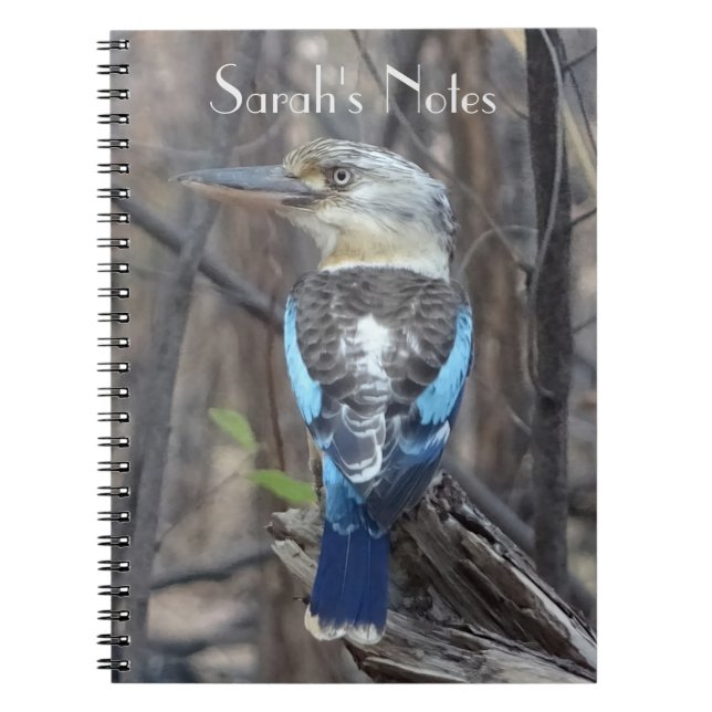 Kookaburra Bird Notebook (Front)