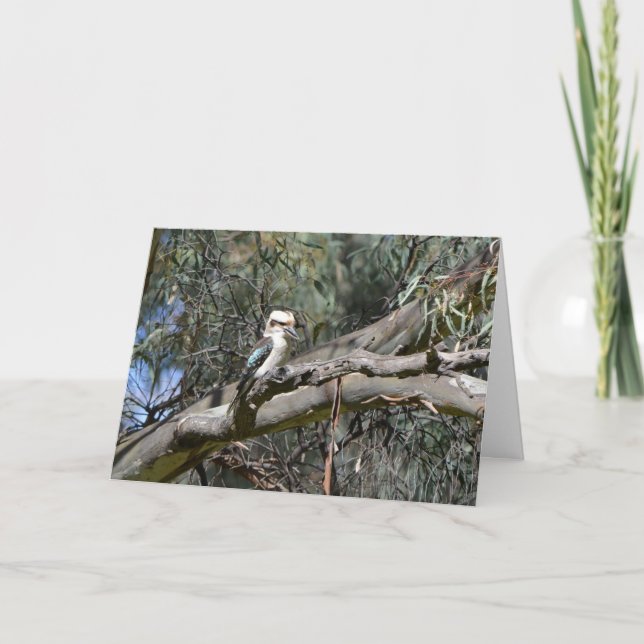 Kookaburra Birthday Card (Front)