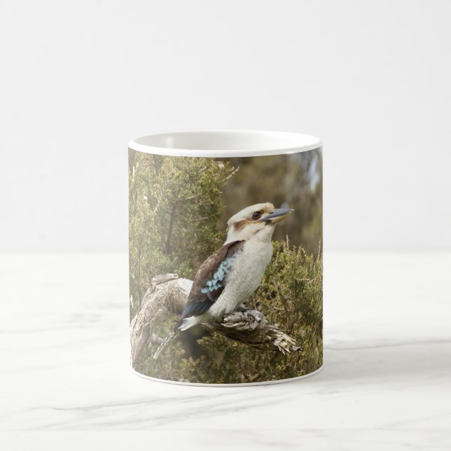 Kookaburra Coffee Mug (Center)