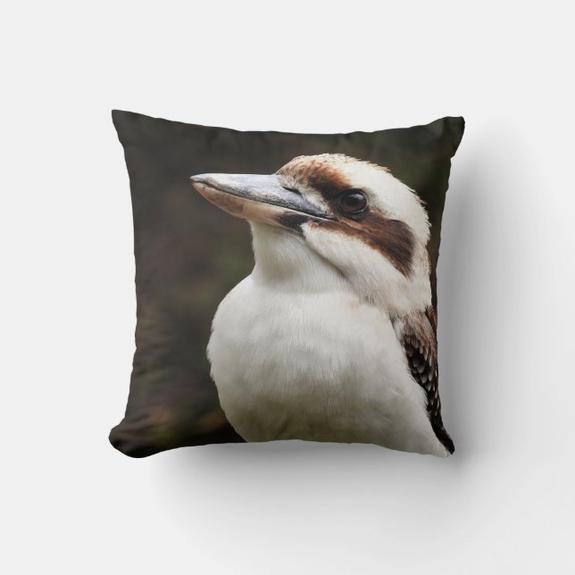 Kookaburra Cushion (Front)