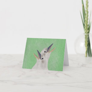 Kookaburra Greeting Card