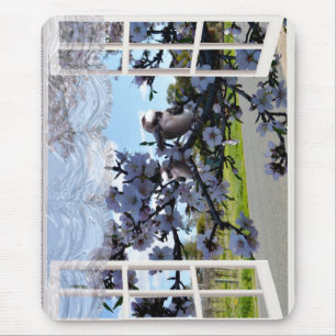 Kookaburra In My Window, Mousepad