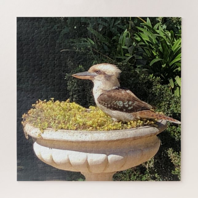 kookaburra jigsaw puzzle (Horizontal)