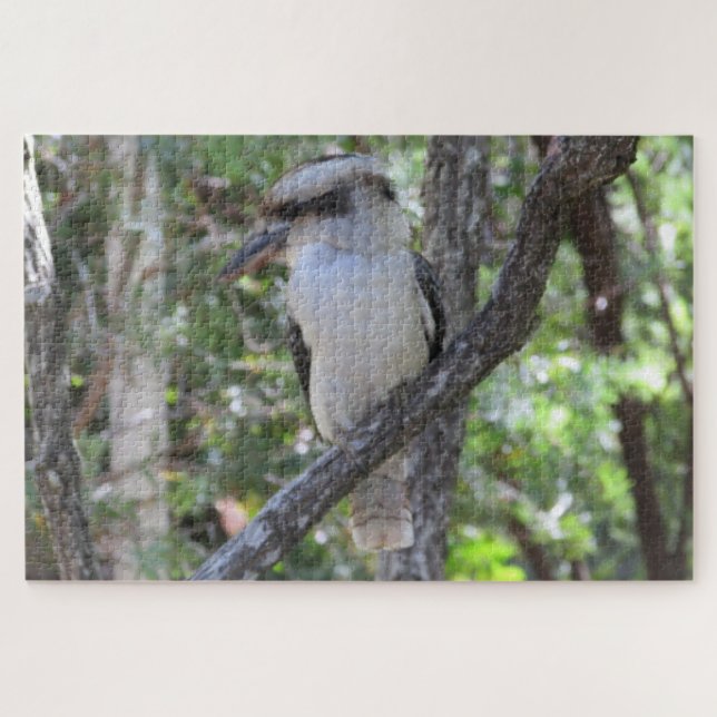 kookaburra jigsaw puzzle (Horizontal)
