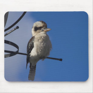Kookaburra Mouse Pad