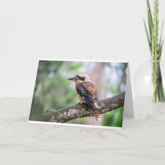 Kookaburra on branch card
