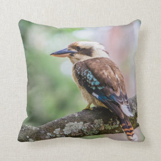Kookaburra on branch cushion