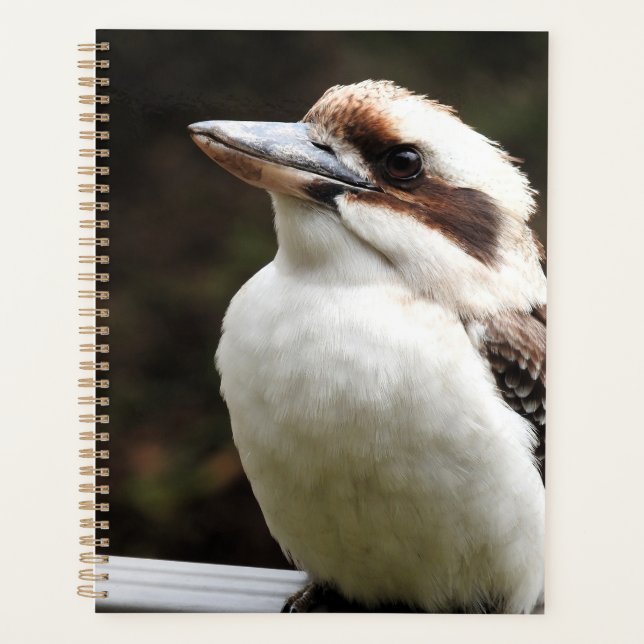 Kookaburra Planner (Front)