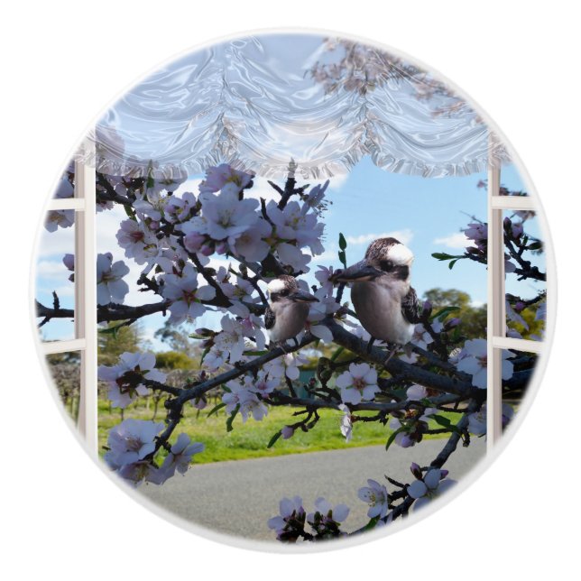 Kookaburras Out My Window, Ceramic Knob (Front)