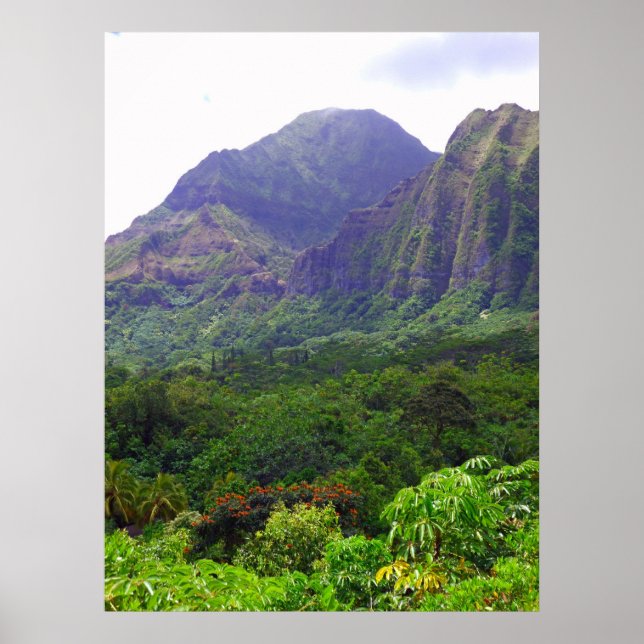 Koolau Mountains Poster (Front)