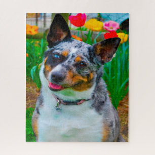 Koolie Dog. Jigsaw Puzzle