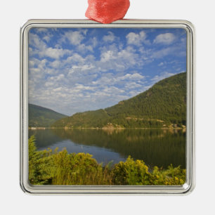 Kootenay Lake in Nelson British Columbia Metal Tree Decoration