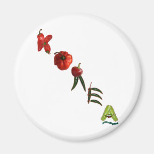 Korea Chilli Peppers Magnet