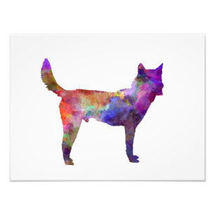 Korea Jindo Dog in watercolor Photo Print
