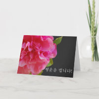 Korean birthday day camellia