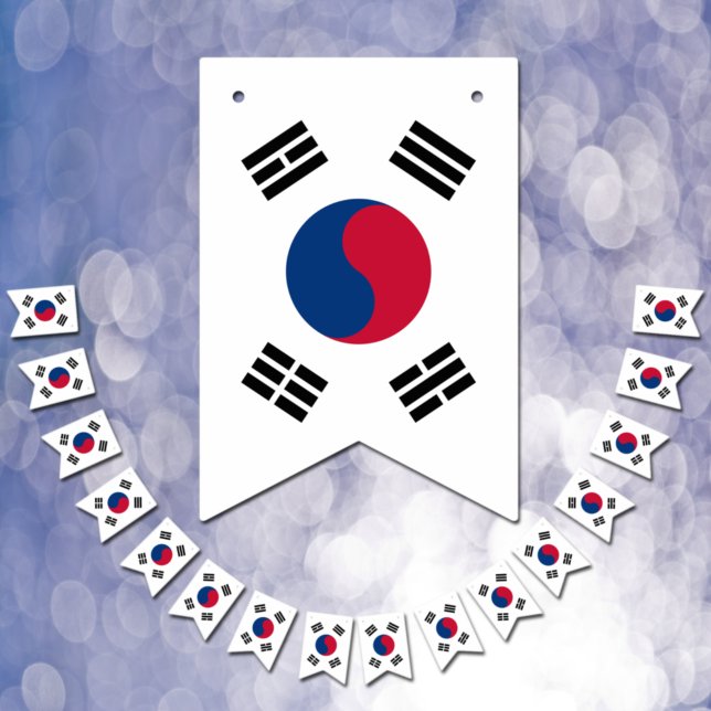 Korean Flag & Party South Korea Banners / Weddings (Creator Uploaded)