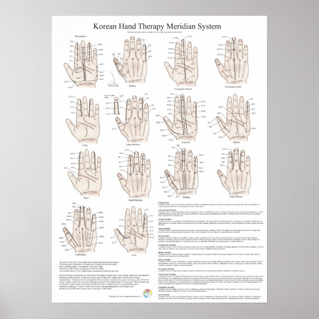 Korean Hand Acupuncture Meridian System Poster (Front)