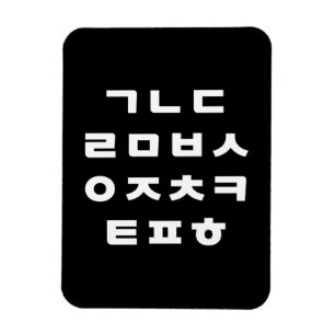 Korean Hangul Alphabet Magnet